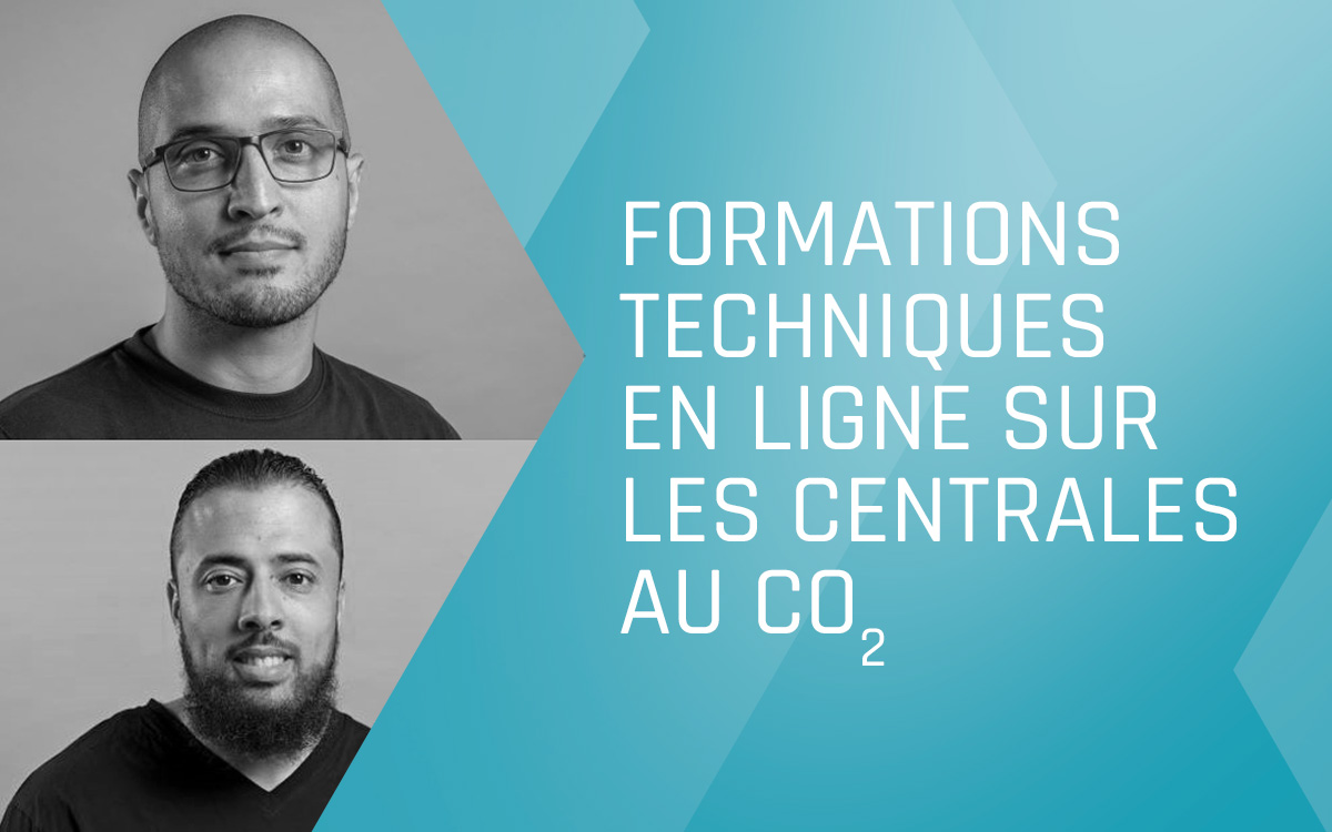 Ergun Cetinel & Hamed Benkaaba & Abdennour Alouane