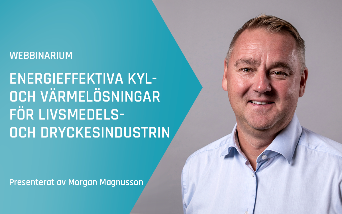 Morgan Magnusson